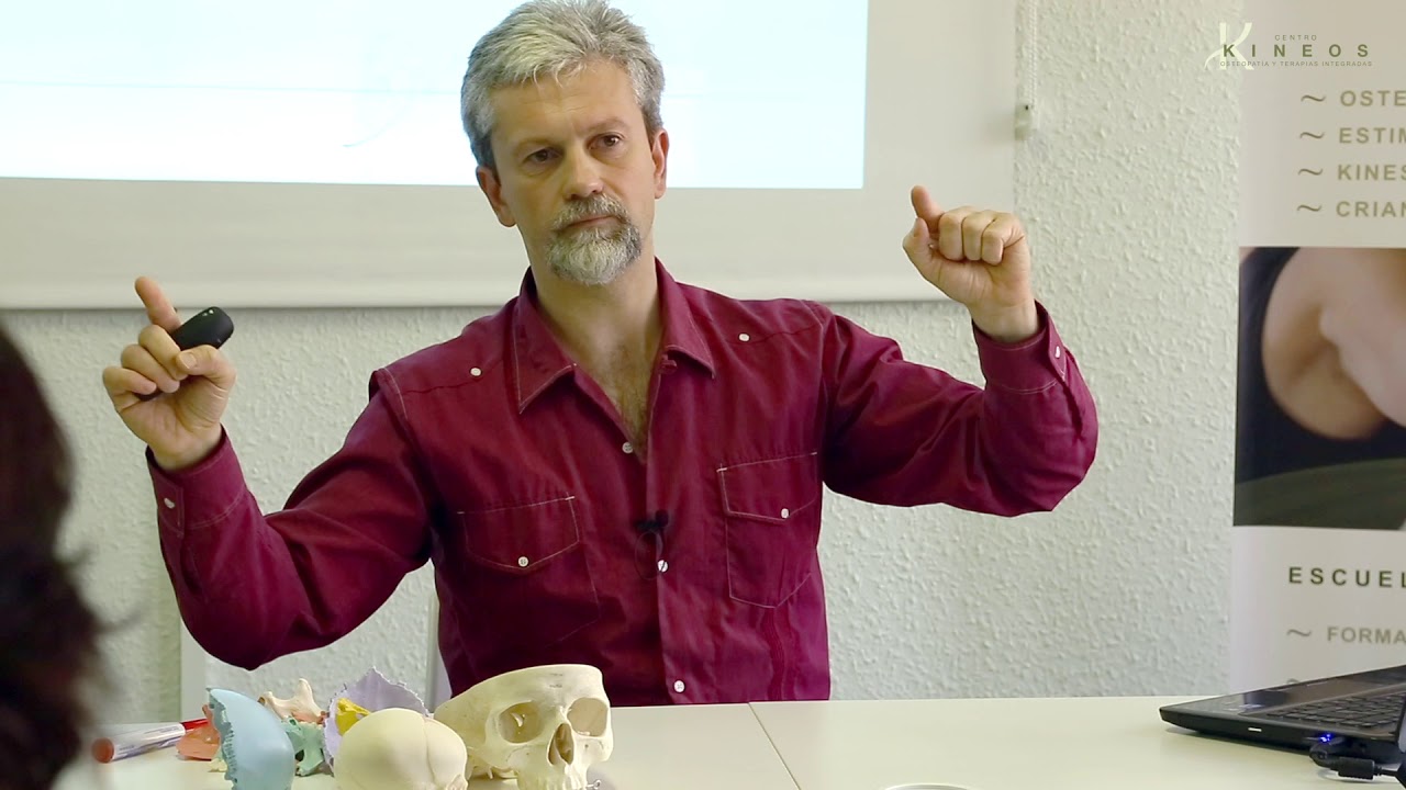 Terapia Craneosacral, bases de la compresión esfenobasilar