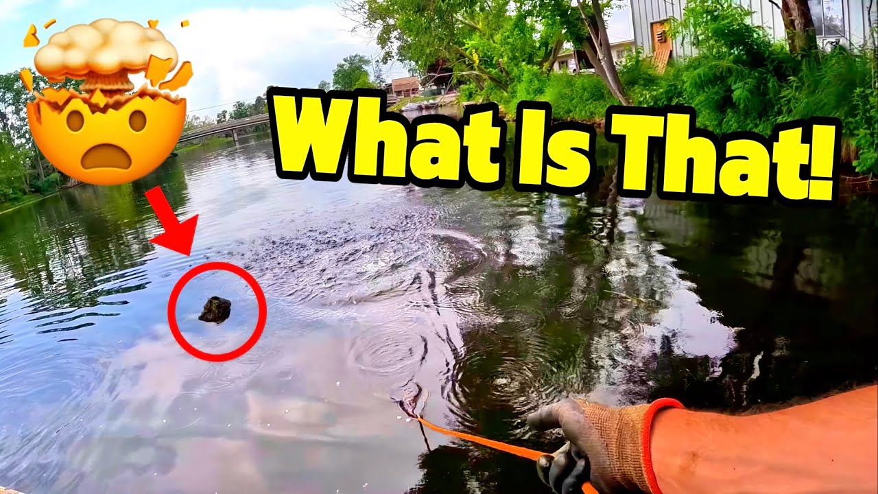 Ultimate Dumpsite Exposed While Magnet Fishing Behind Workshop!