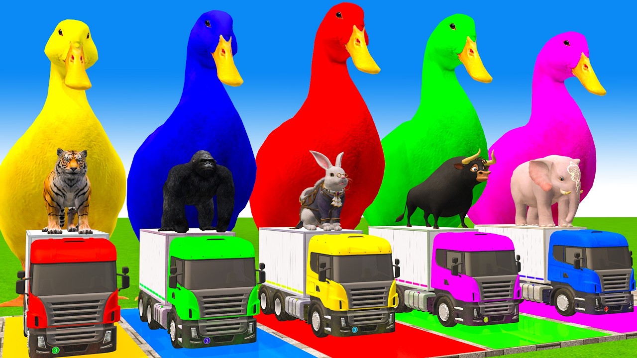 5 Giant Duck Cartoon,Cow,Elephant,Tiger,Lion,Dinosaur,Paint Wild Animals Crossing Fountain Animation