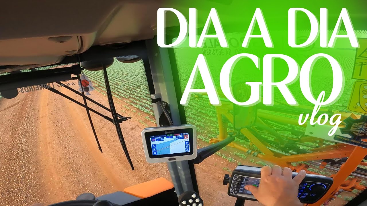 vlog 01 dia a dia