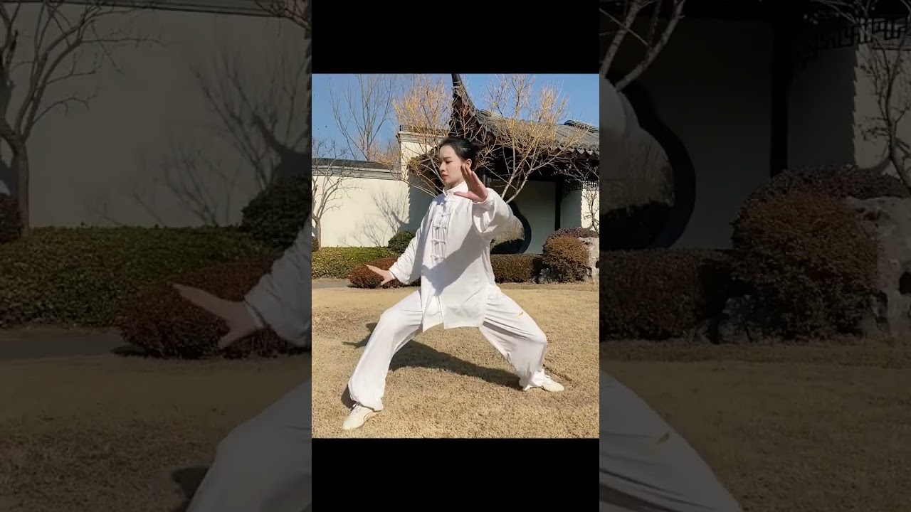 太极者，内外合一，柔中带刚，劲达乾坤！ 太极拳 太极 中华武术博大精深 武术