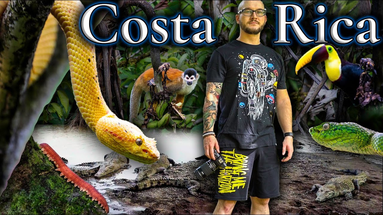 Face To Face With The Most Venomous Snake In Costa Rica | @Mike Tytula Takes a Bullet in The Jungle!