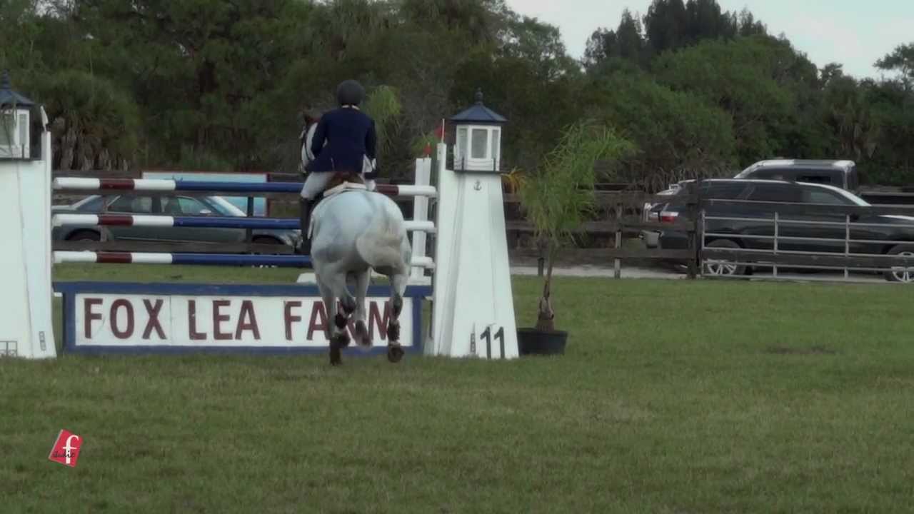 Fox Lea Farm horse show facility, Sarasota County Florida