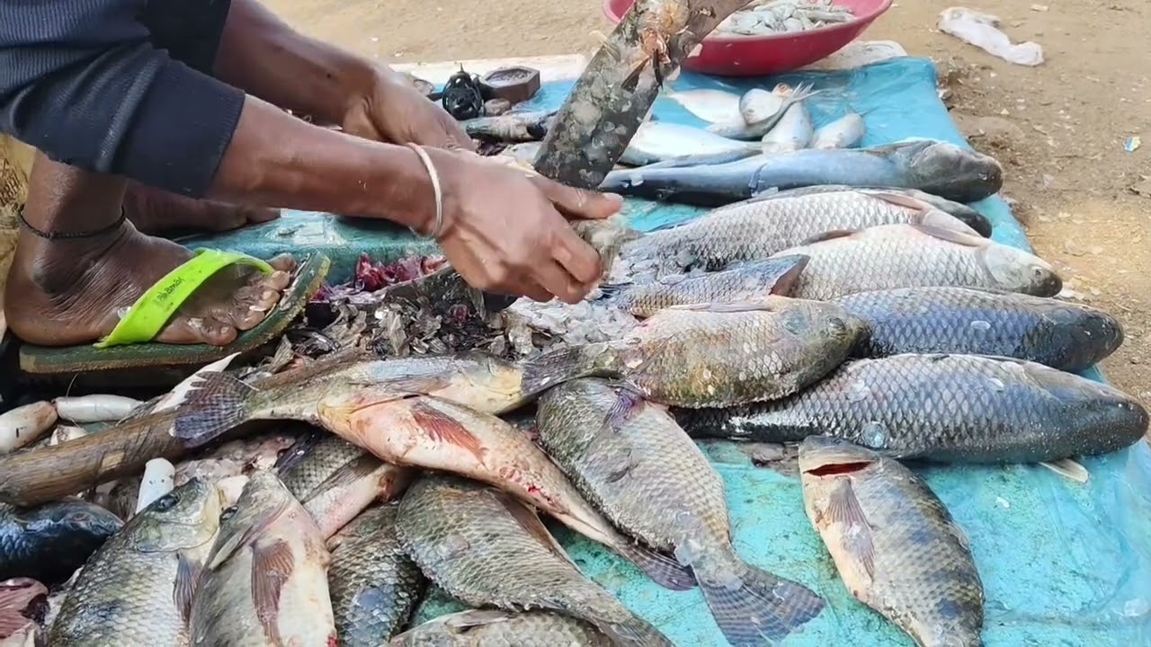 Amazing cutting skill !China Fish  !! Fish Market