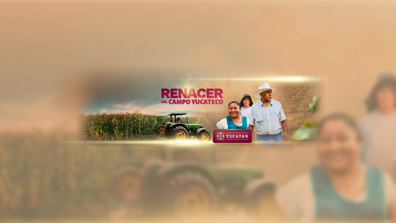 Noticiero vespertino Teleyucatan Noticias