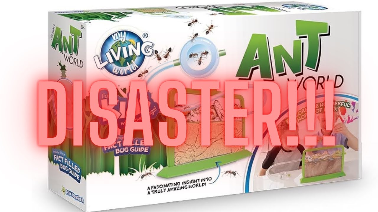 My First Ant Farm Ended In Disaster!! My Living World Ant World Review