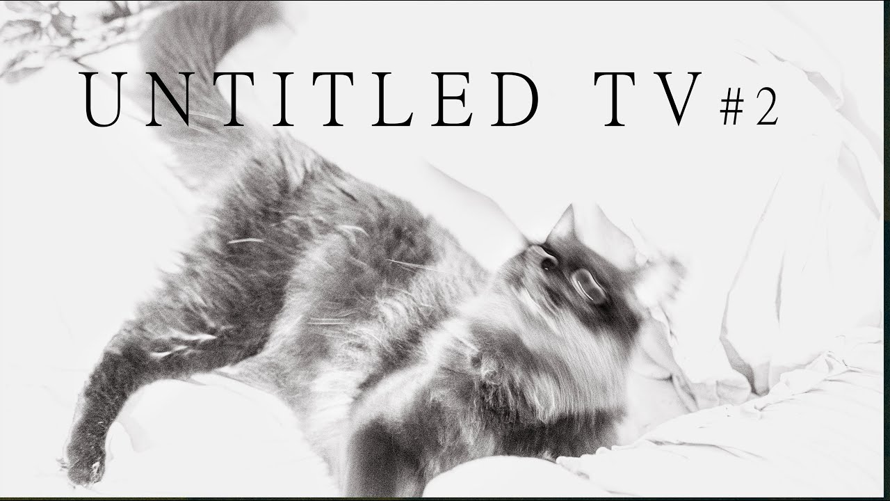 Untitled TV #2