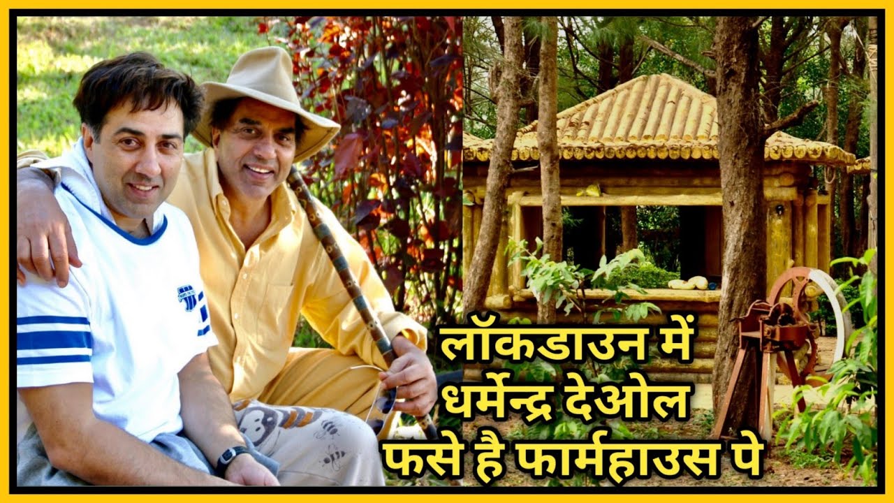 लॉकडाउन में धर्मेन्द्र देओल 73 दिनो से फंसे हैं फार्महाउस पे|Dharmendra Deol stay farmhouse Lockdown