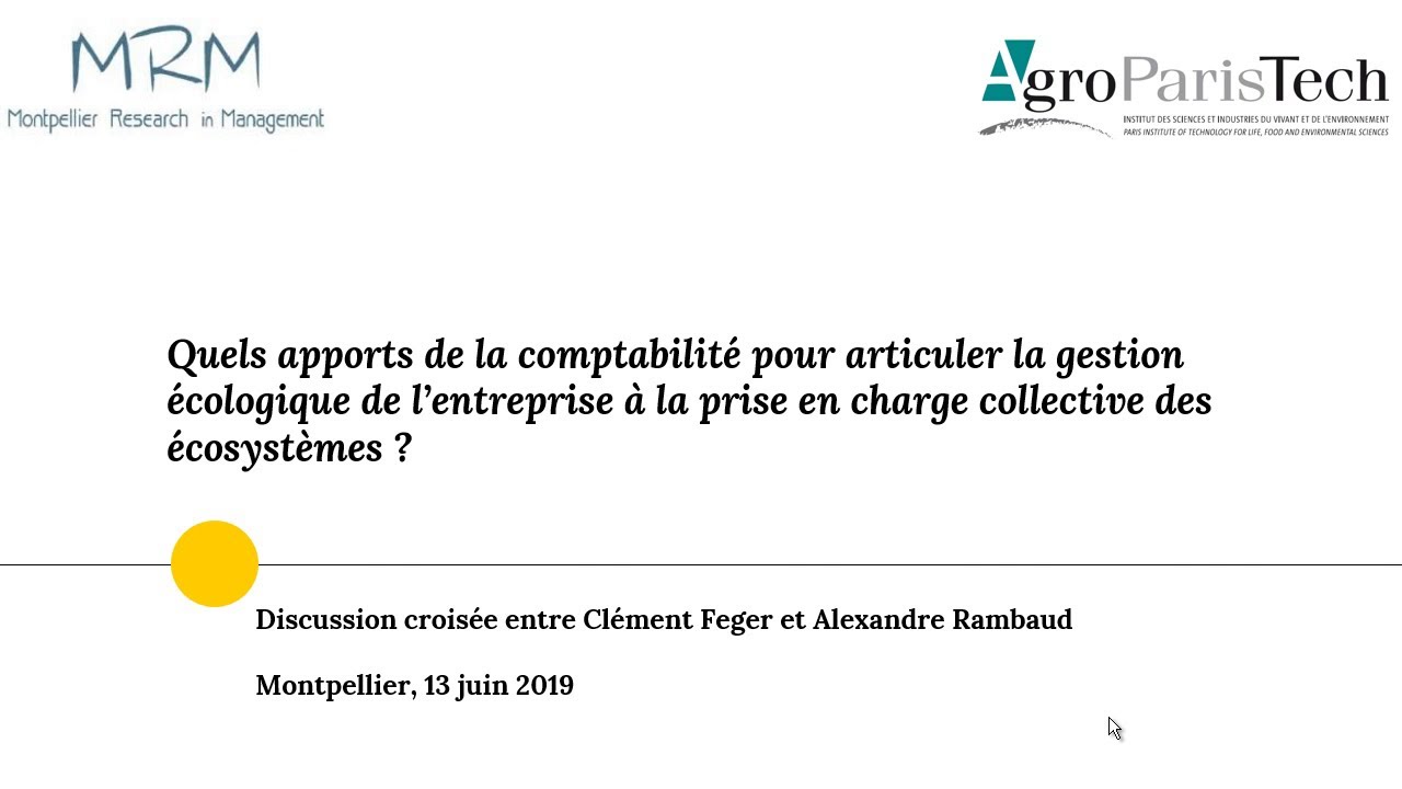 Quelles comptabilités pour articuler gestion écologique de l'entreprise et des écosystèmes ?