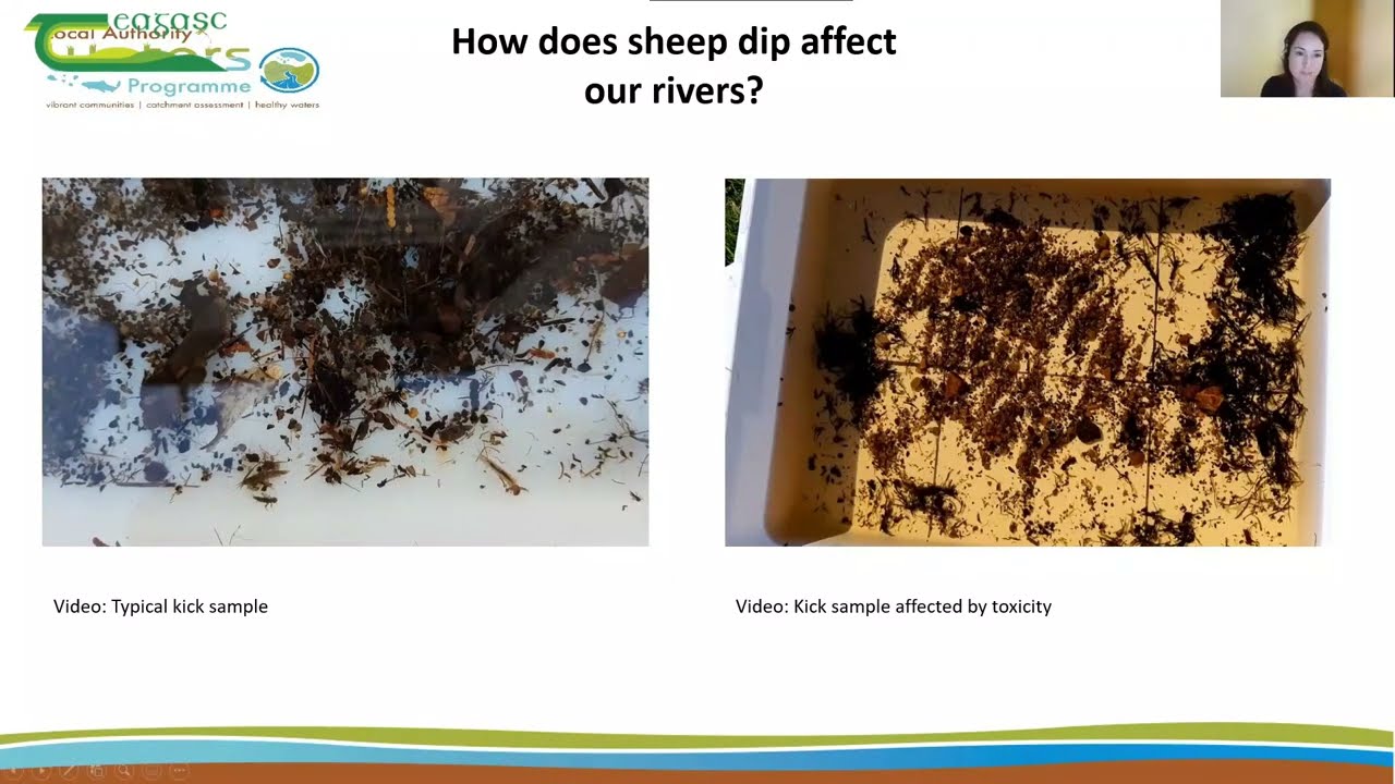 Water Quality Issues in PAAs: Focus on Sheep Dip - Teagasc SLD Webinar Series Winter 2021