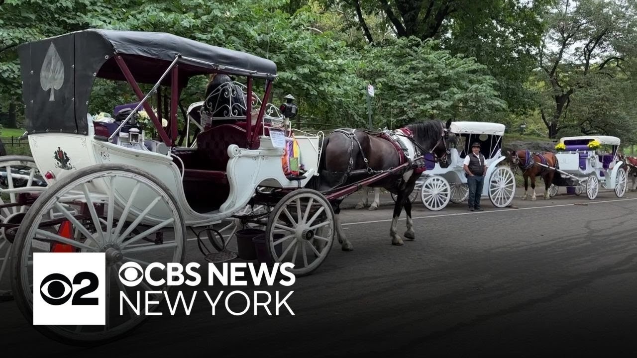 Mayor Adams voices support for potential ban of horse-drawn carriages in NYC