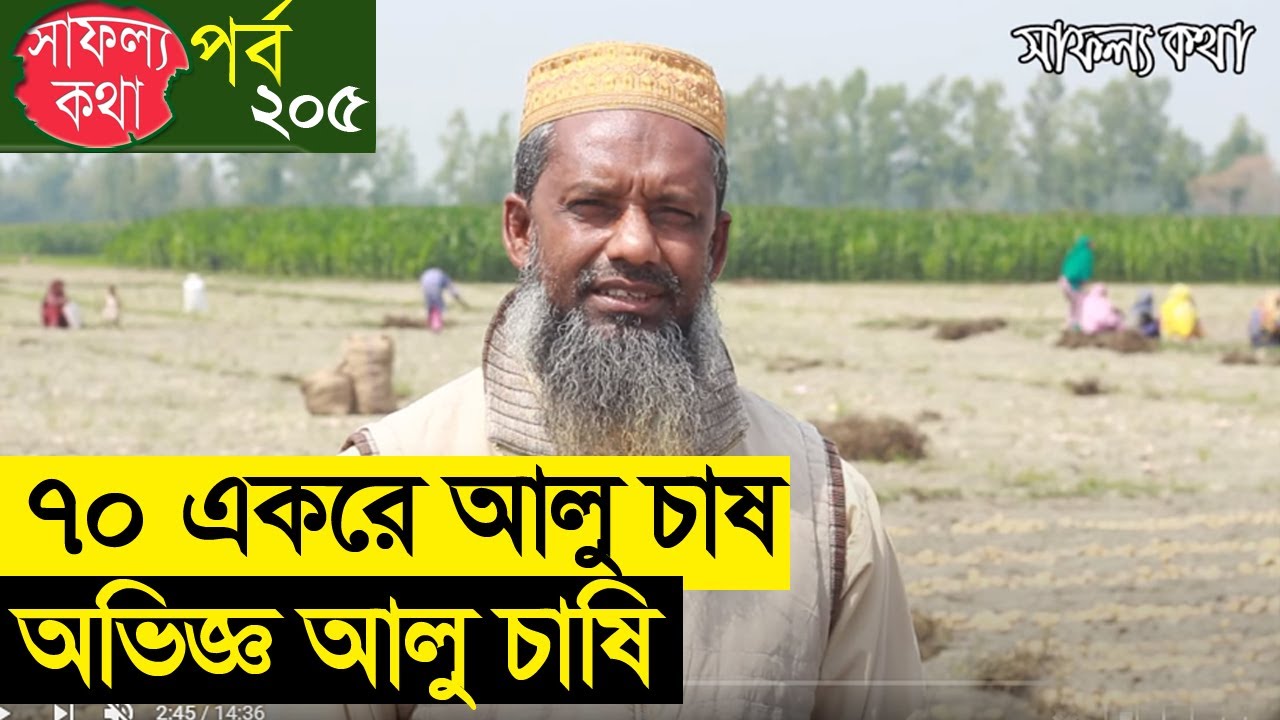 ৭০ একরে আলু চাষ শুরু হয়েছিল ১ একর থেকে | বাড়িতে আলু সংরক্ষণ | আলু চাষ পদ্ধতি | Alu Chas Poddhoti