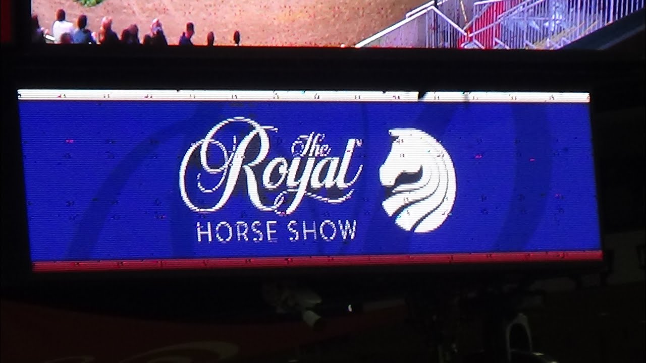 Highlights of the November 13th 2025 Afternoon Horse Show at The Royal