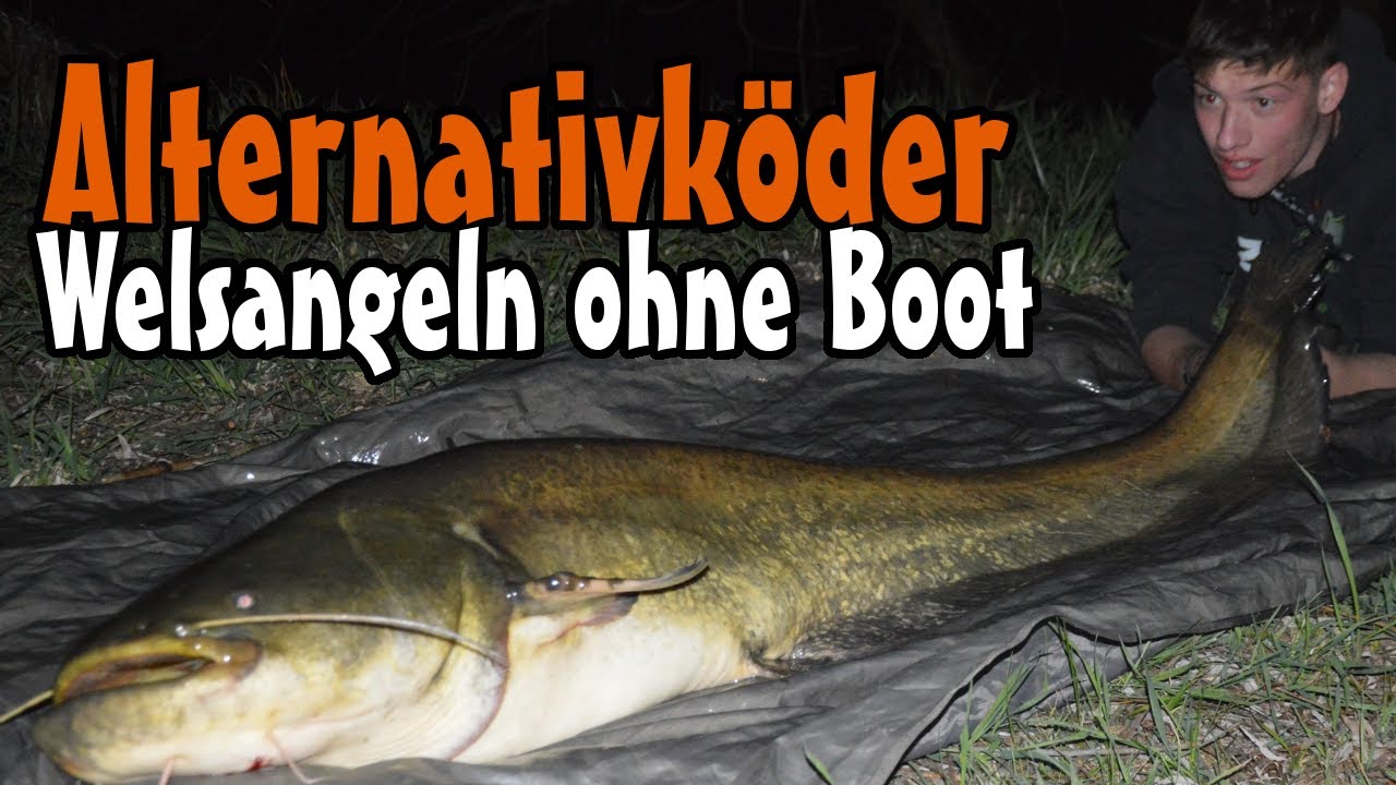 Welsangeln mit Alternativköder am kleinen Fluss // Welsangeln ohne Boot