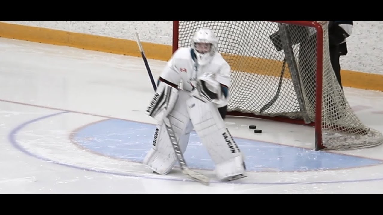 Under-13 Hockey (Girls AA) - Etobicoke Dolphins vs Cambridge Roadrunners