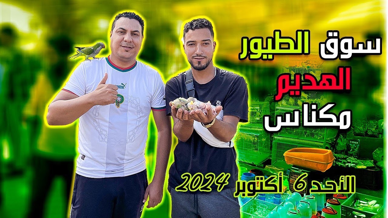 سوق الطيور 🦜🦜بمدينة مكناس 🇲🇦فرجة ممتع 🤩🤩رقم الهاتف 0619227462