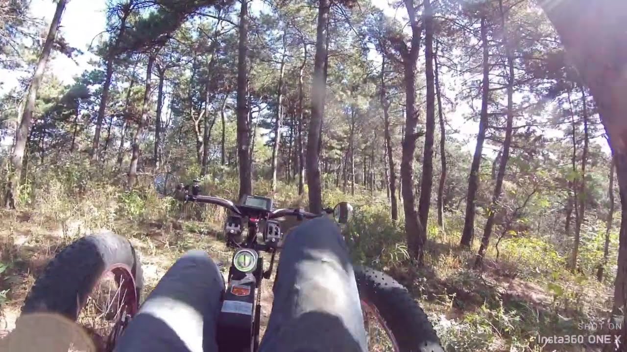 What is the avantage of crossing forest by 4x4 quad bike