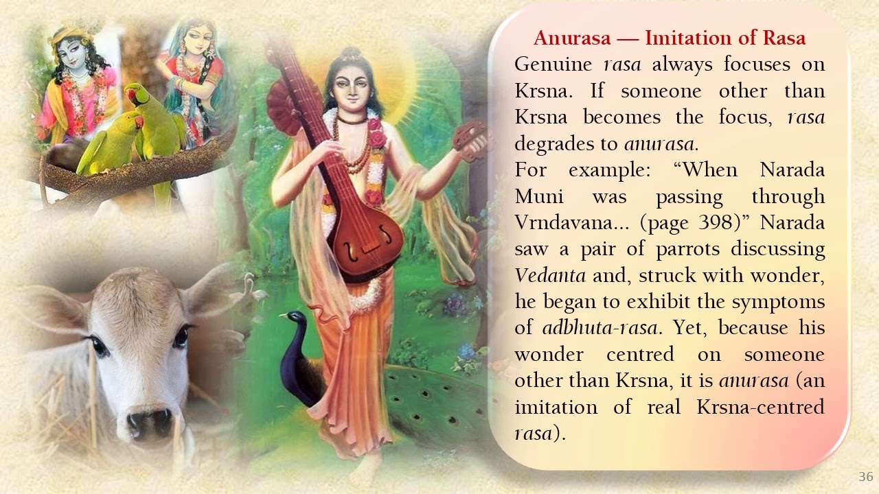 Nectar of Devotion Chapter 51