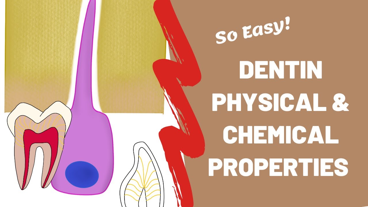 Dentin | Physical & Chemical Properties