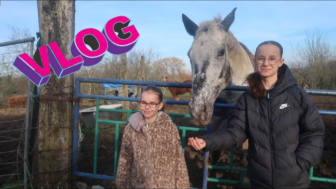 VLOG : APRES-MIDI EN FAMILLE A LA FERME