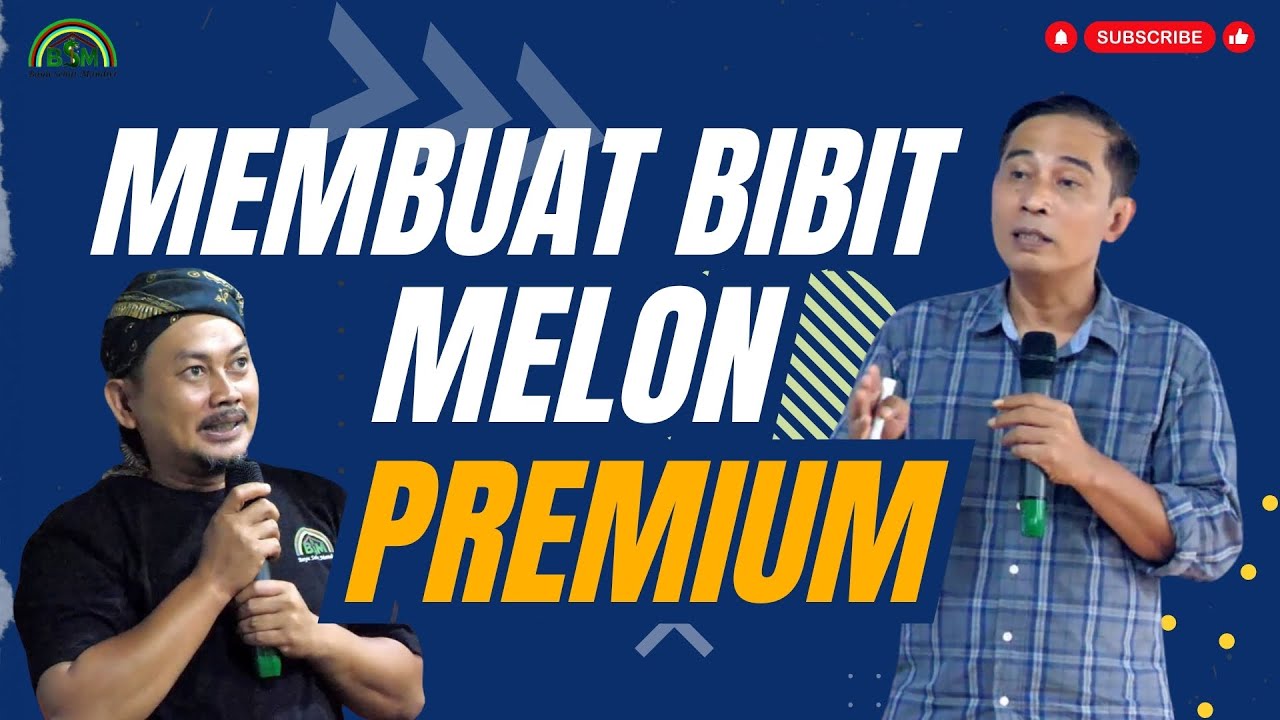 CARA MENGHASILKAN BIBIT MELON PREMIUM #bayudiningrat  #bayusehatmandiri #pertanian