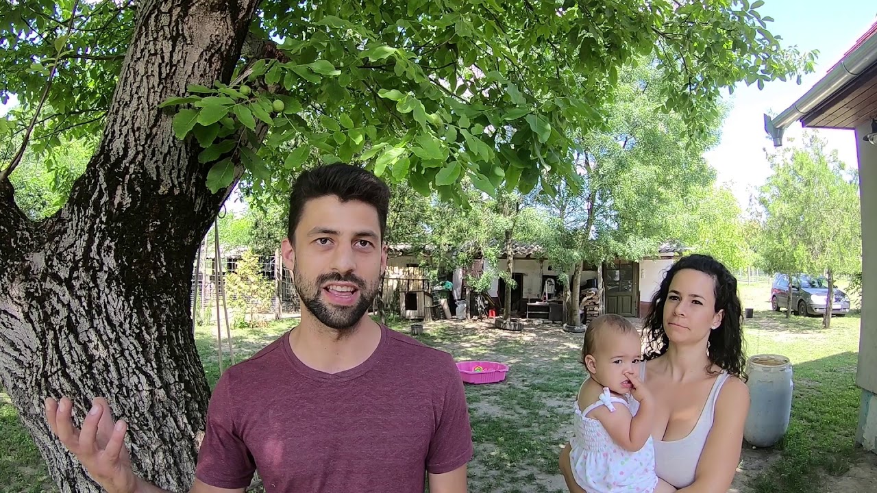 A YouTyúk Gazdái - Varga Család