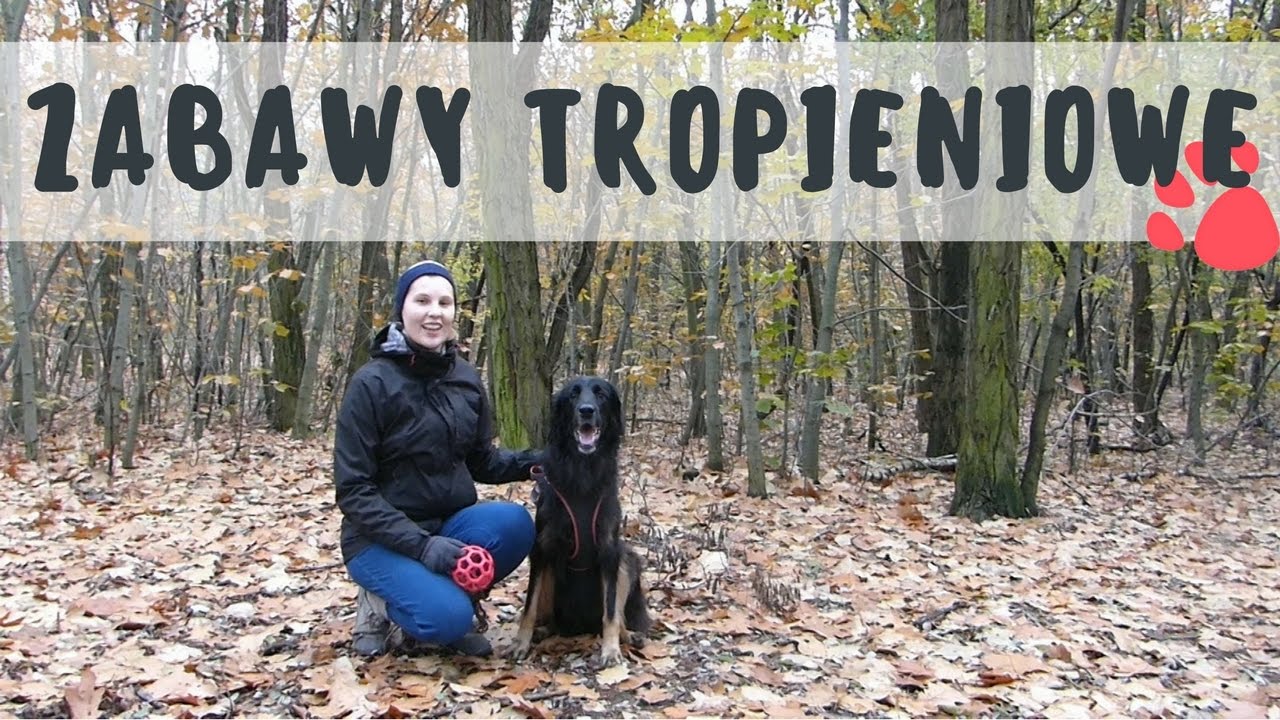 Zabawy tropieniowe na jesienno-zimowe dni!