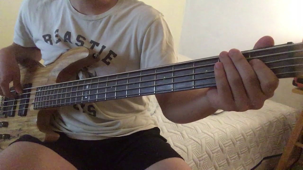 【LiSA】 - Shirushi (BASSCOVER)