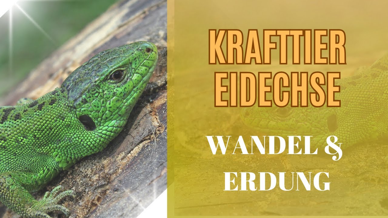 Schamanisches Krafttier EIDECHSE