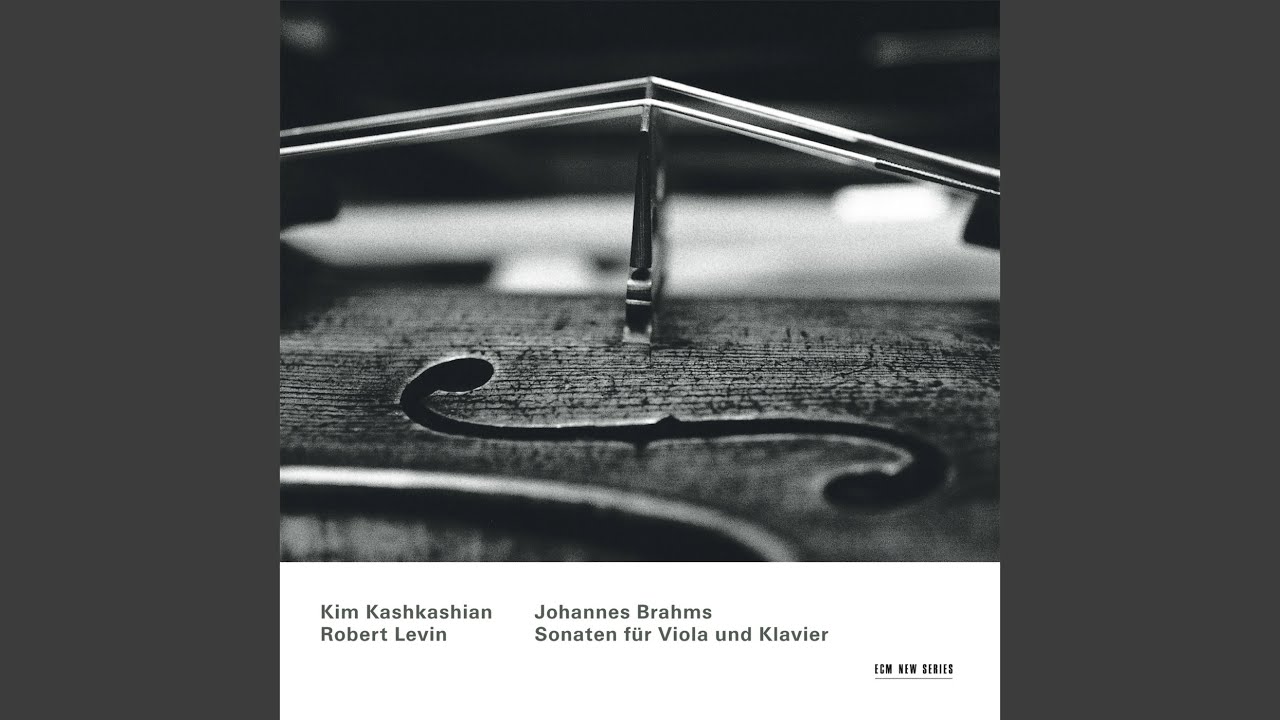 Brahms: Viola Sonata in F Minor, Op. 120 No. 1: IV. Vivace