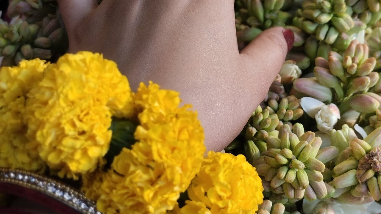 সবাইকে ভালোবাসা দিবসের শুভেচ্ছা ❤️