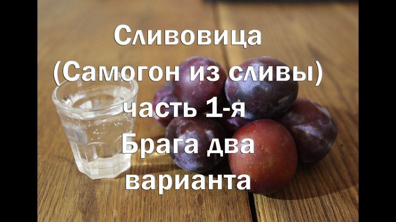 Сливовица или сливовый самогон ,  2 варианта браги на диких и на культурных дрожжах. Видео 18+