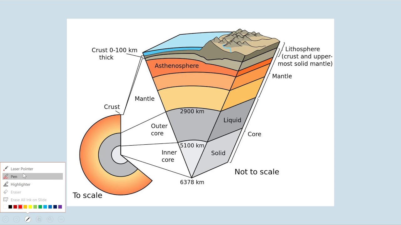 Ecology Introduction