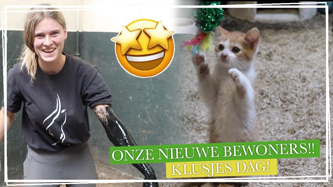 KLUSSEN op de NIEUWE STAL!! + De AFVOER is VERSTOPT.. || Paardzoektbaas