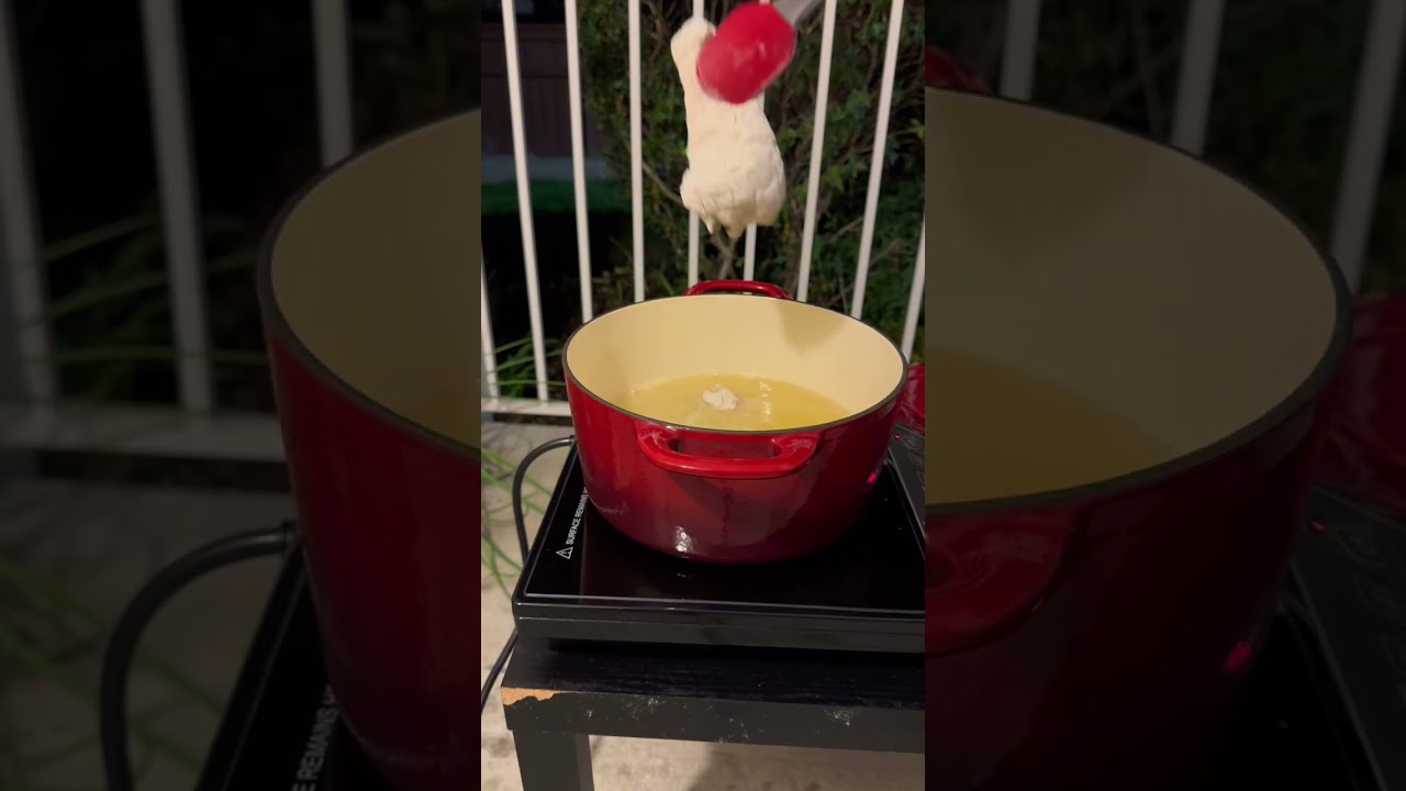Ang Pride ng Bayan ala Jollibee Fried Chicken Joy