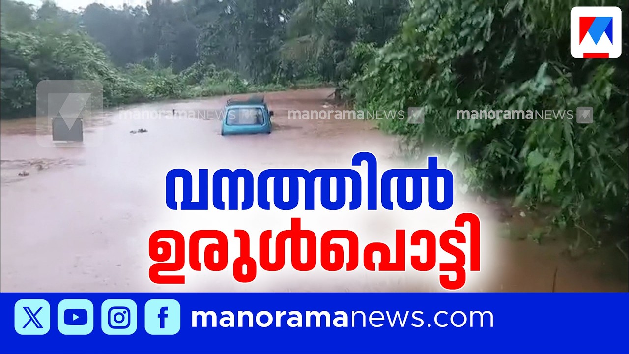 കാസർകോട്ട് കനത്ത മഴ; കാര്യങ്കോട്, തേജസ്വിനി പുഴകൾ കരകവിഞ്ഞു| Kasaragod Rain | Rain alert | Red alert