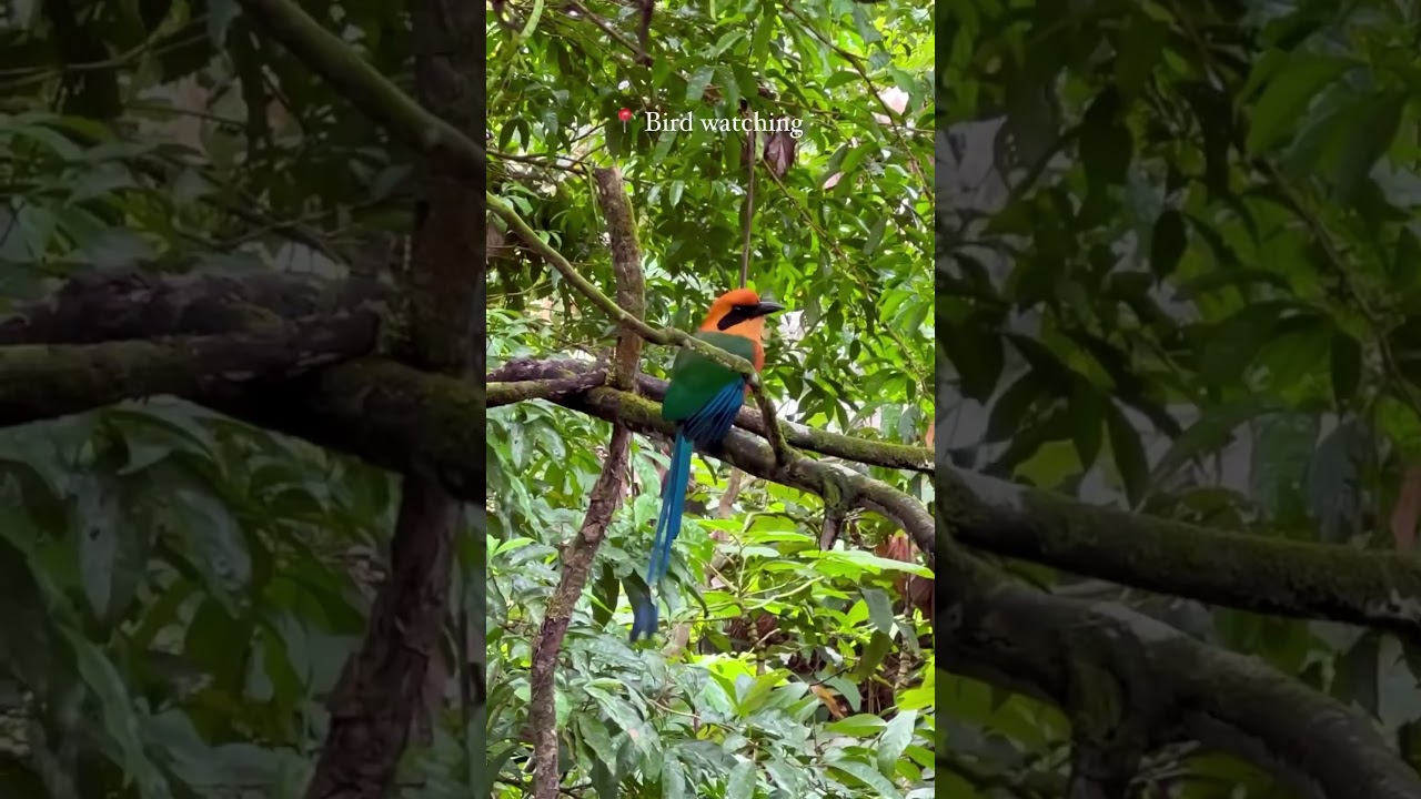 Best 6 Things to do in La Fortuna, Costa Rica 🇨🇷