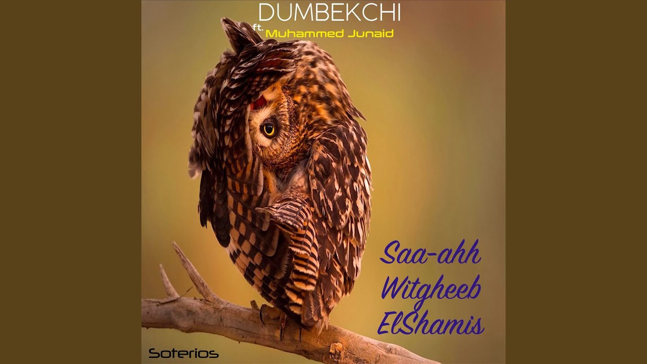 Saa-ahh Witgheeb ElShamis (Extended Mix)