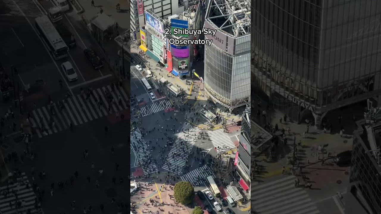 BEST Shibuya Crossing views!