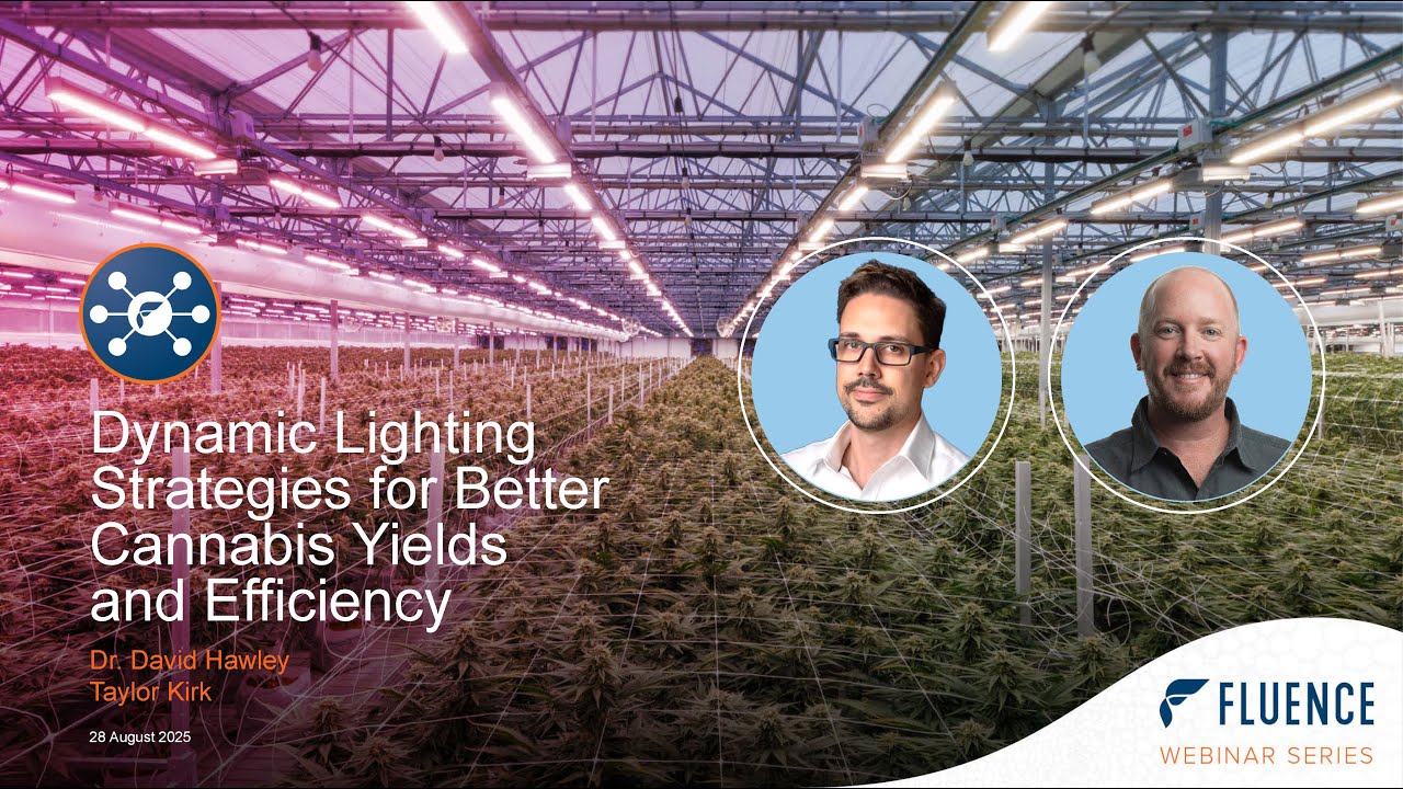 Dynamic Lighting in Cannabis Cultivation Strategies That Work | Fluence Webinar