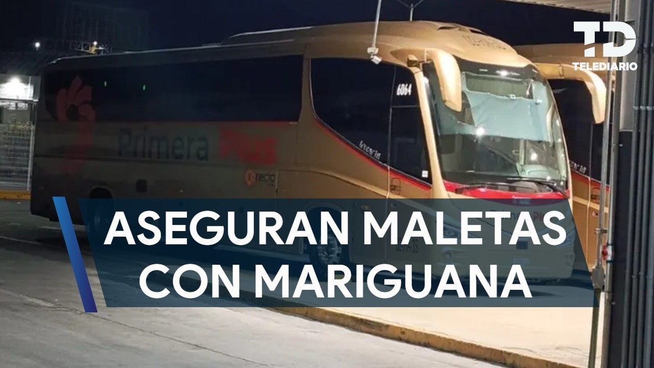 Aseguran maletas con 32 kilos de marihuana en la Central Camionera de Zapopan