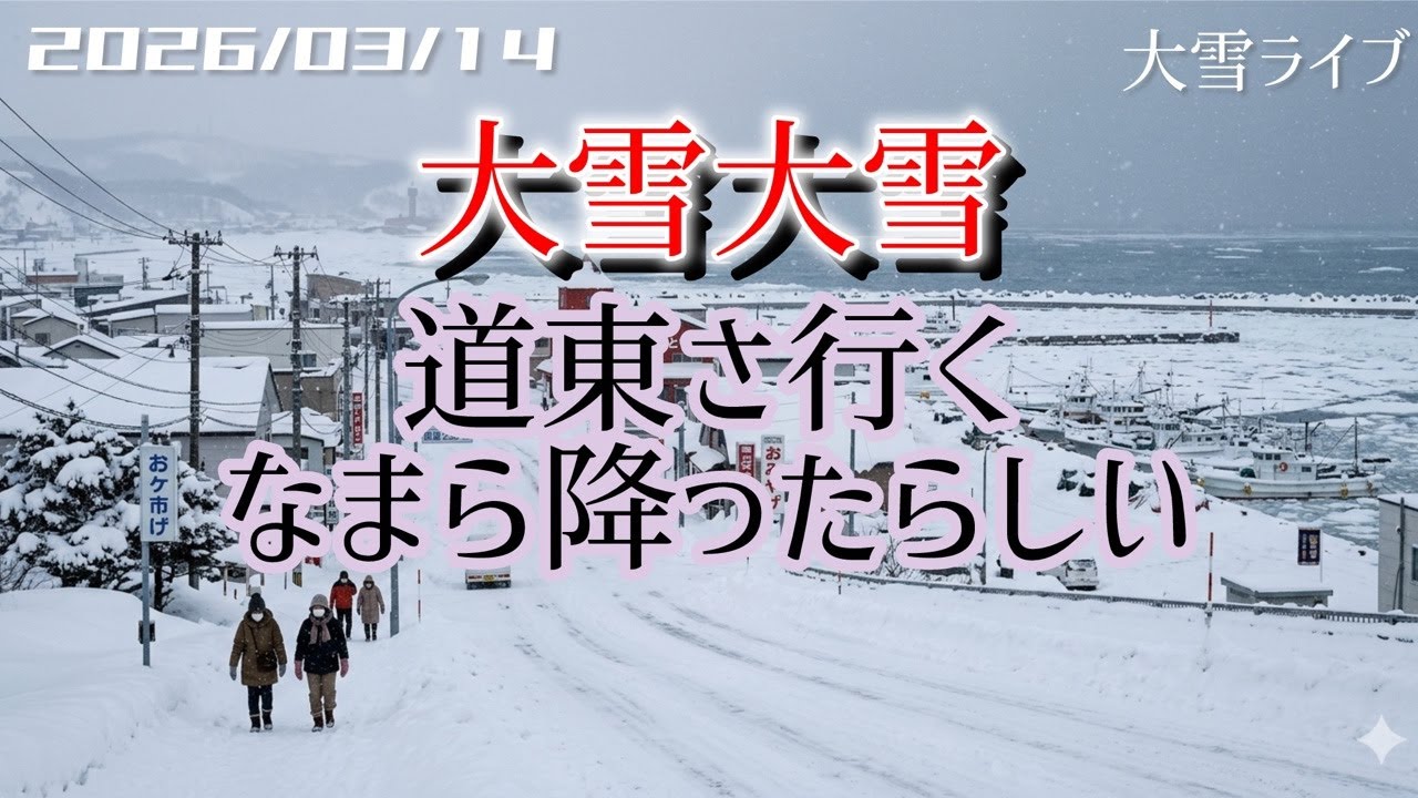 【大雪ライブ】道東さ行く！なまら降ったらしい 北海道をリアルタイムで一緒にドライブ気分♪夜ドライブ
