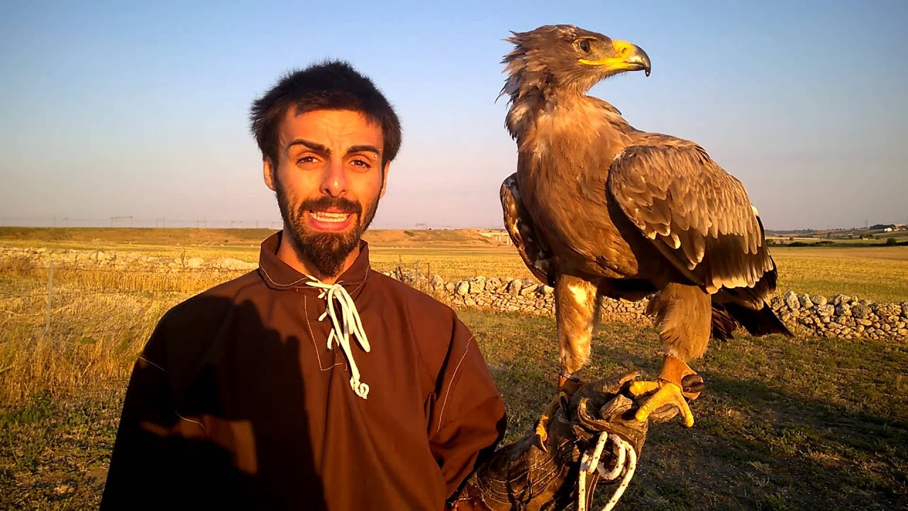 Falconeria 