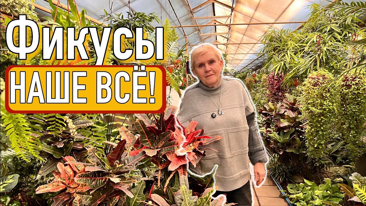 Эльмира Тофиковна советует!