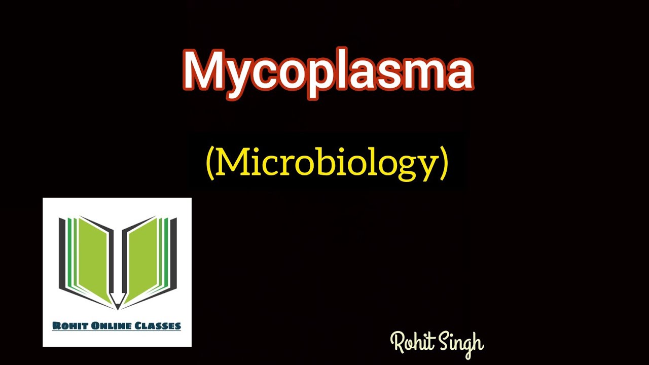 Mycoplasma (Microbiology)