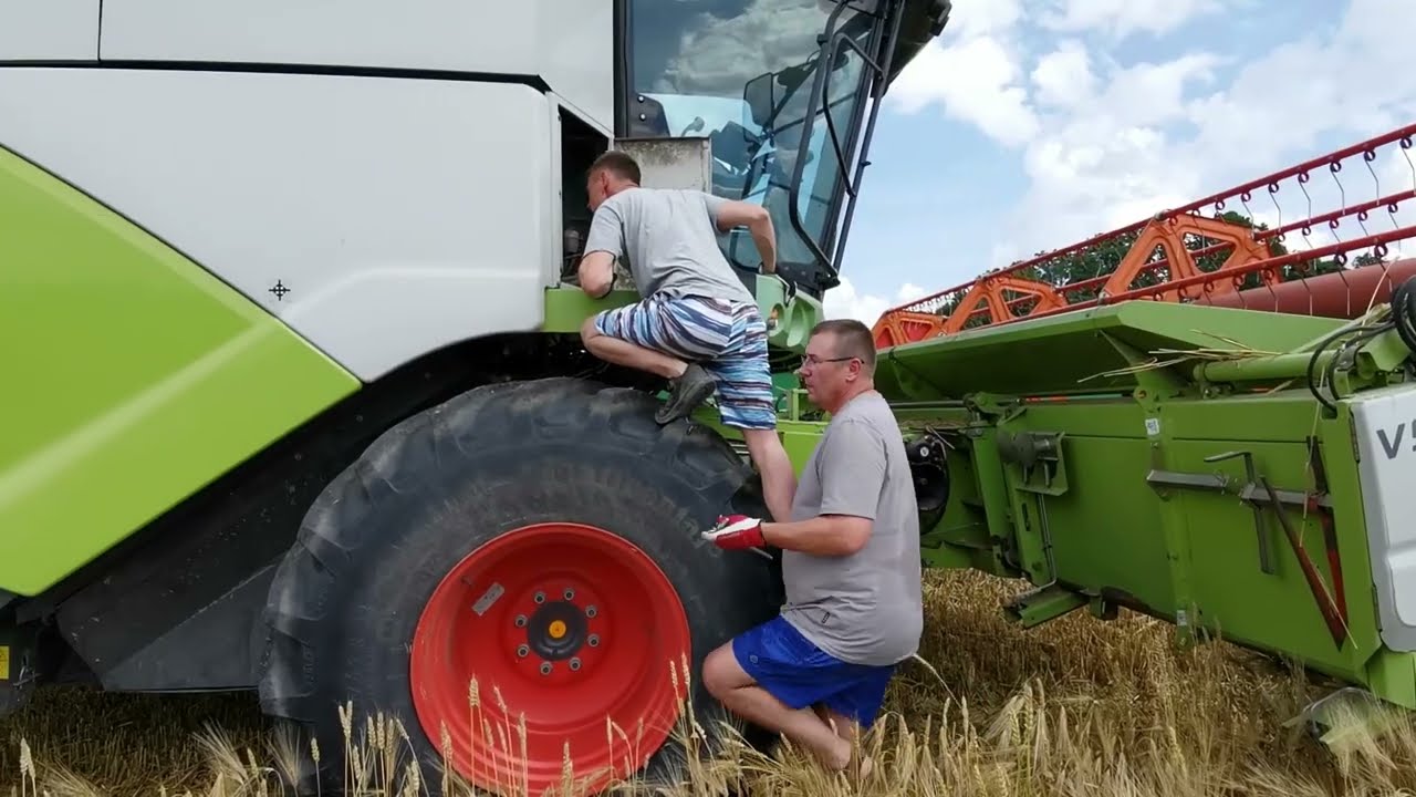 Barley harvest 2025