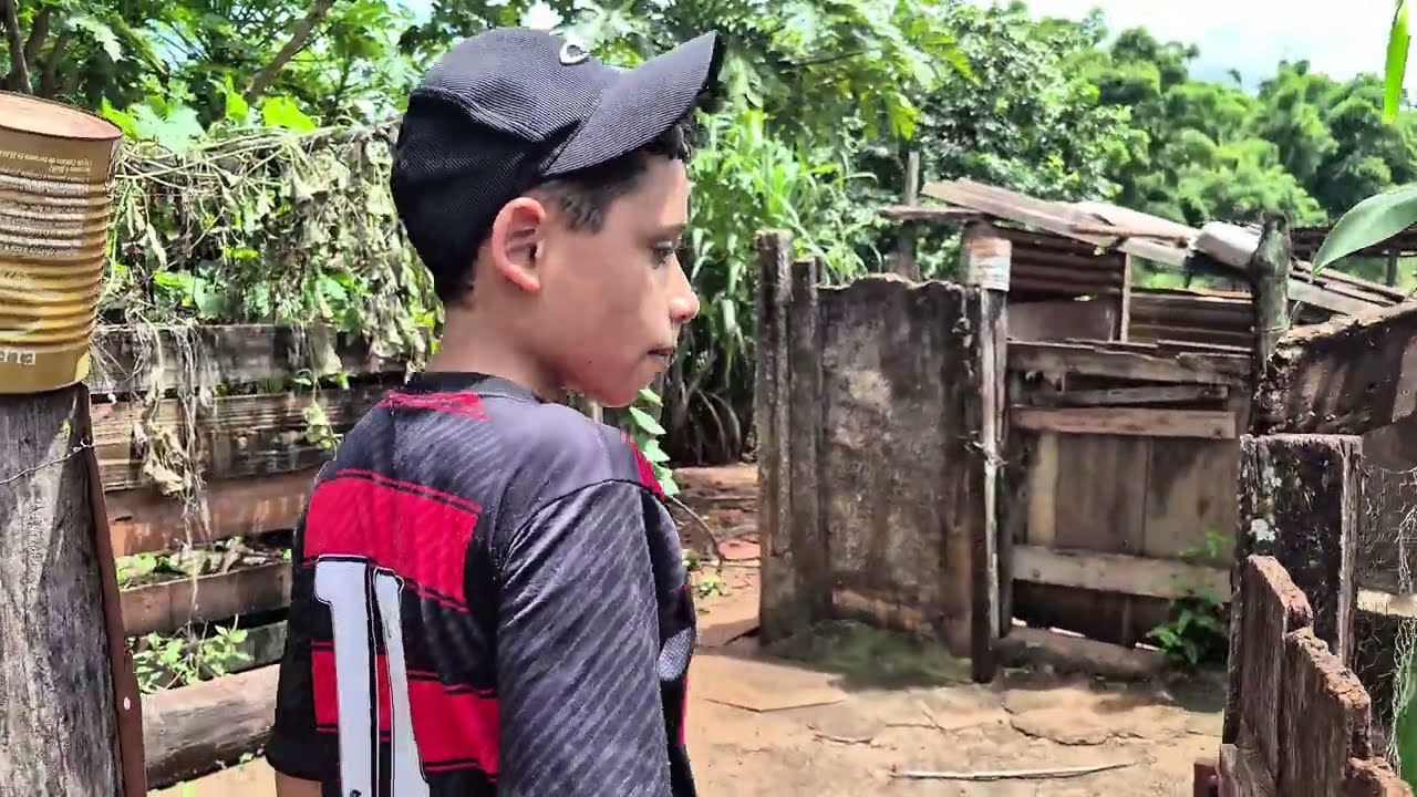 Passeio na roça com meu neto. @canalchegaozoom 