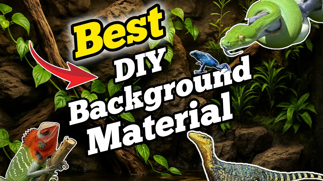 How to Build a Zoopoxy Reptile Background | Best Hardscape Material