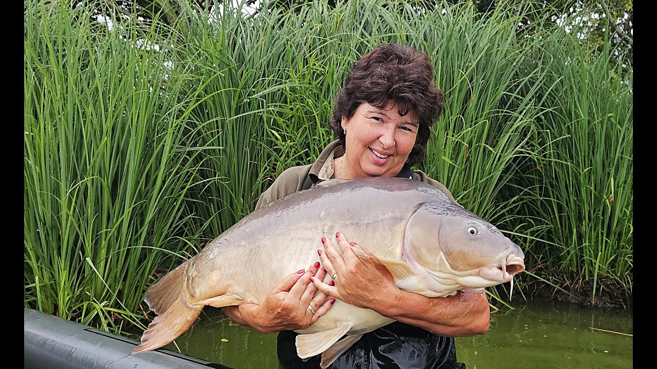 Etang des gaulois 2025
