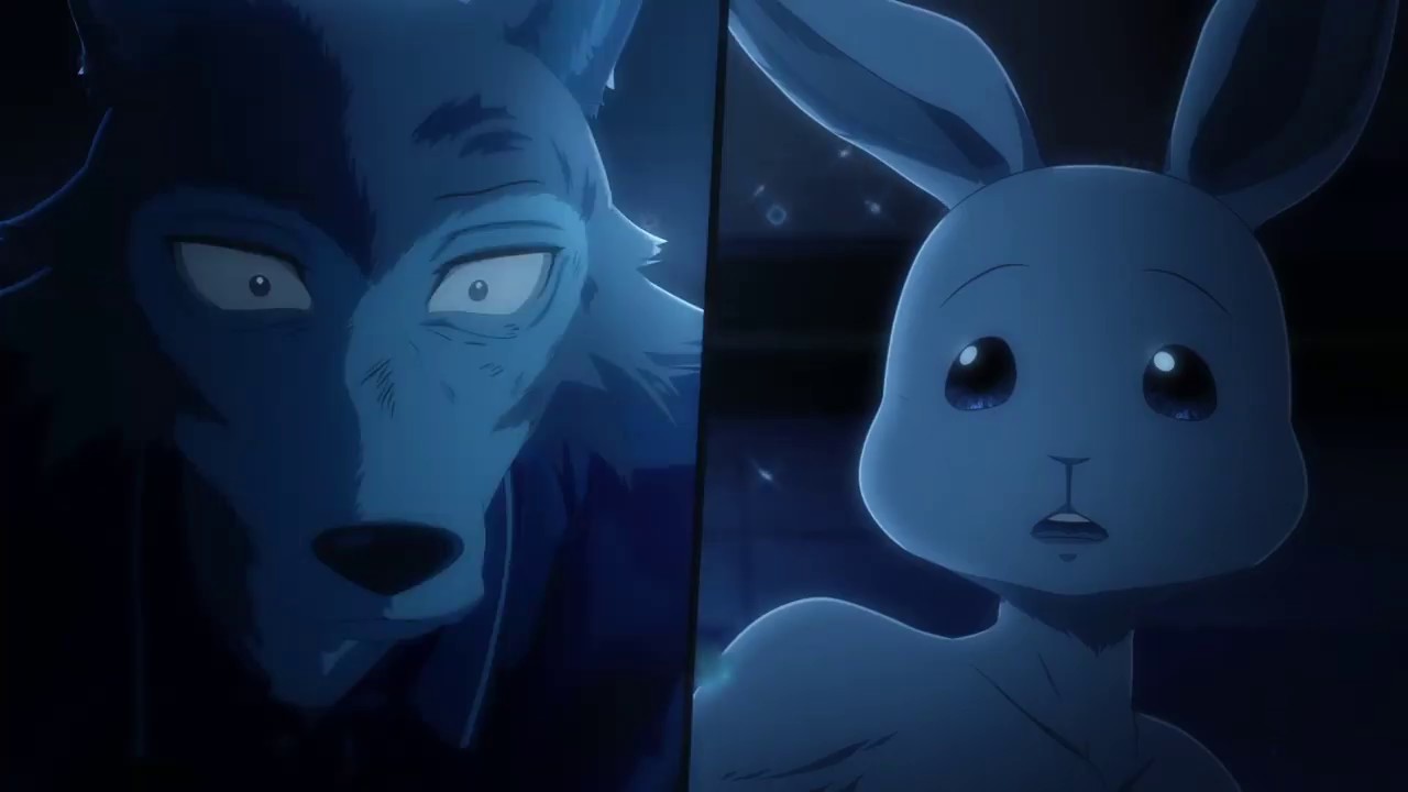 Beastars [AMV] Somebody That I Used To Know